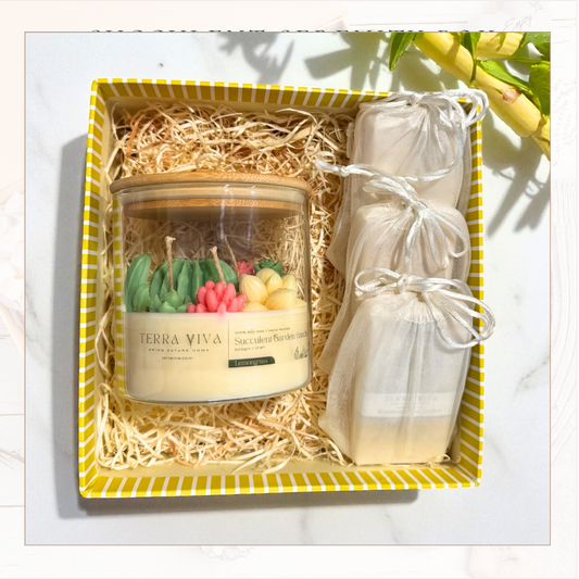 Succulent Serenity Box B