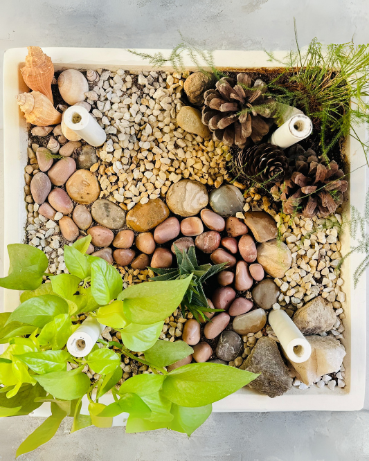 Coffee Table Planting Kit - Bloom
