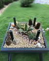 Coffee Table Planting Kit - Muse