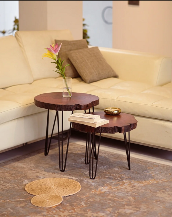 Live Edge Coffee Table