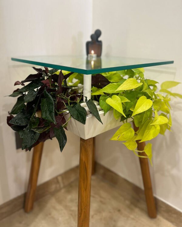 Corner Table