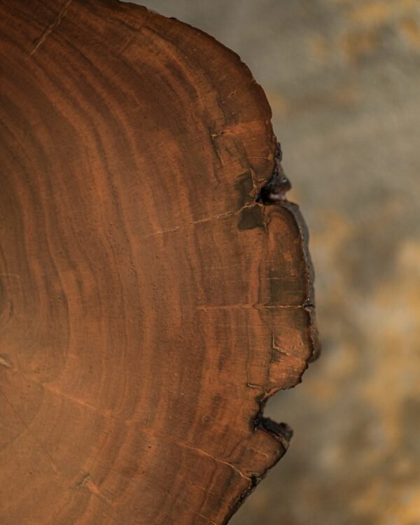 Live Edge Coffee Table - Image 4