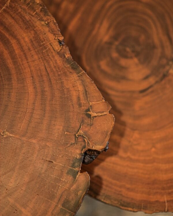 Live Edge Coffee Table - Image 3